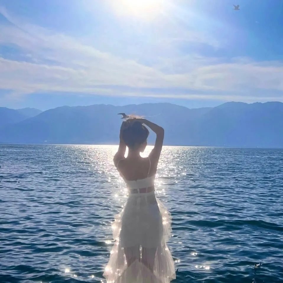 我不是特工海报